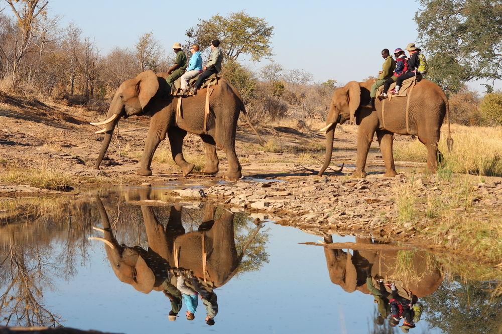 The Kingdom At Victoria Falls Eksteriør billede